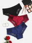 Plus Cheeky Panty (Sizes 1XL, 2XL, 3XL, 4XL)