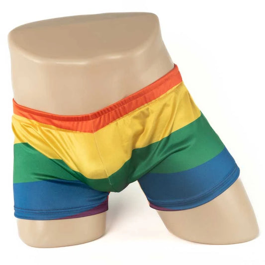 Rainbow Pride Shorts (Sizes M, L)